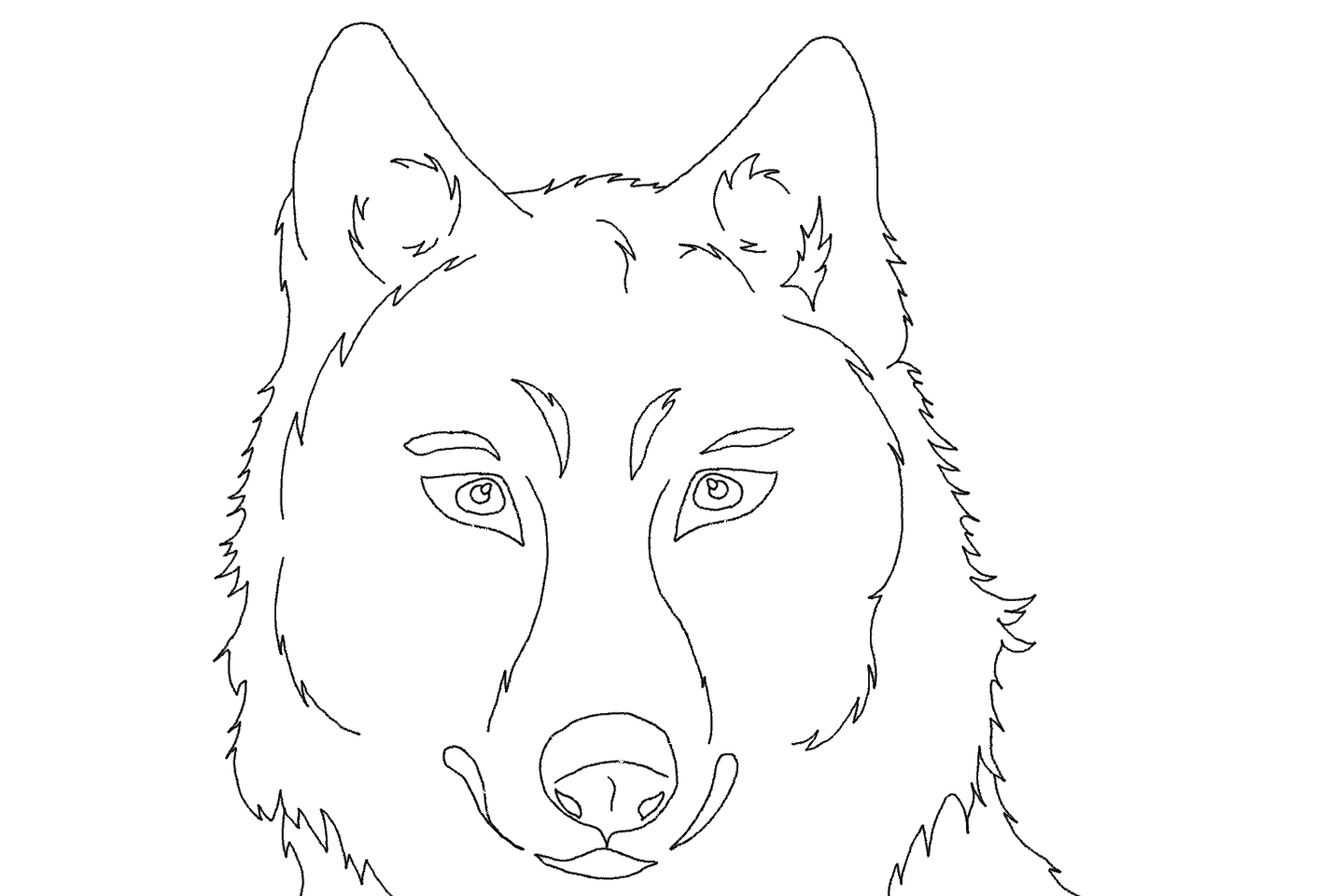 Нарисовать морду волка